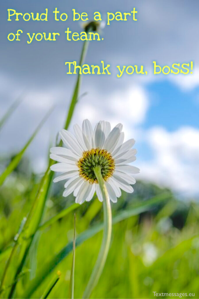 appreciation words for boss