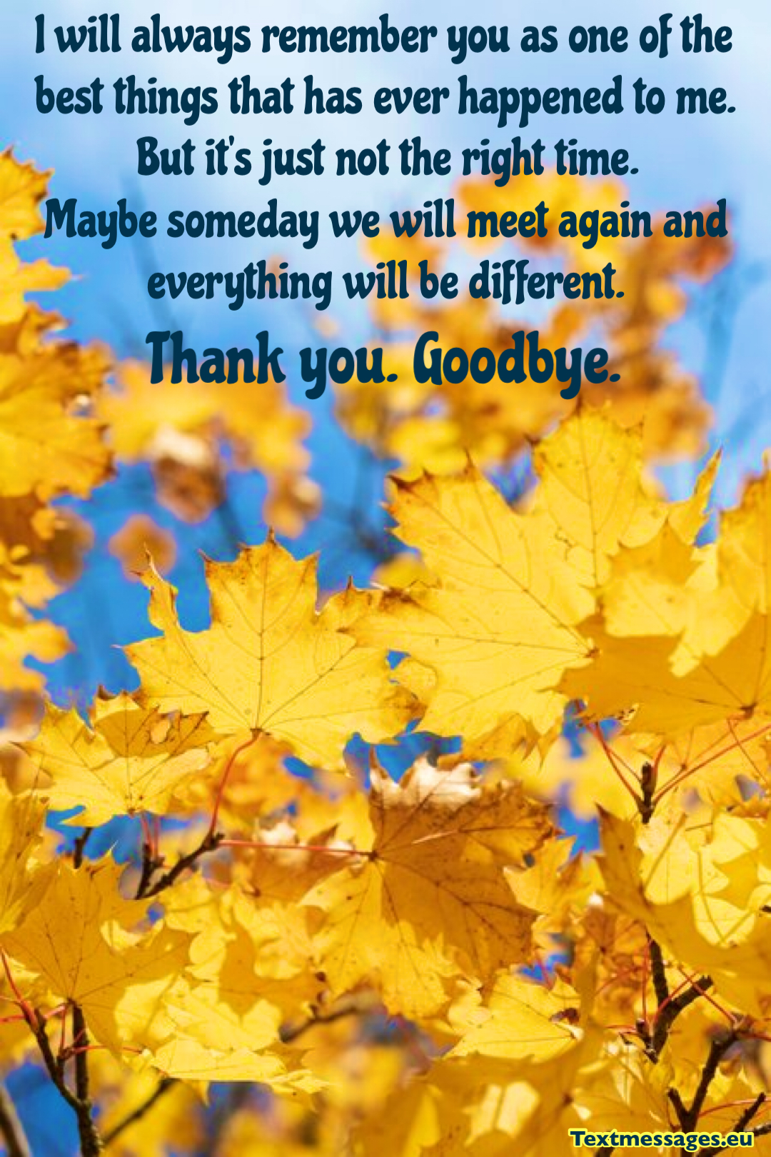 Goodbye Break Up Letter To Someone You Love from www.textmessages.eu