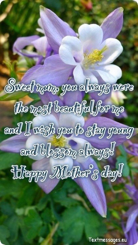 Top 50 Happy Mother S Day Messages And Wishes With Images