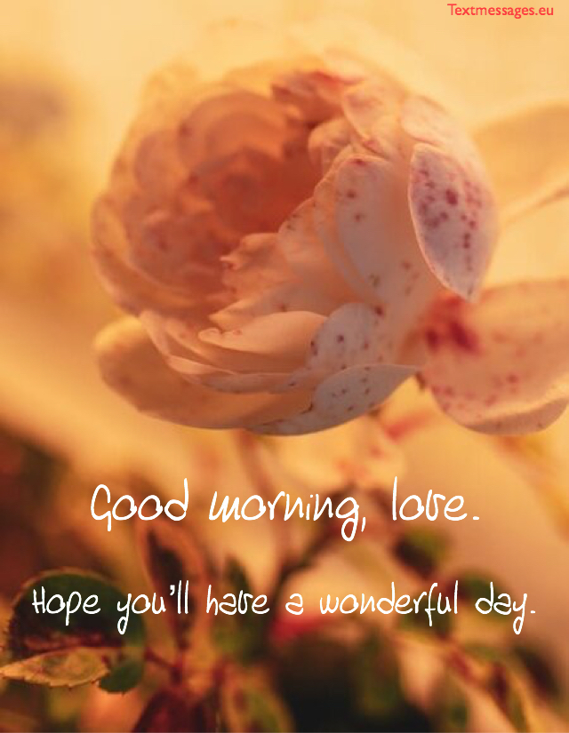 To saying good love morning your 250+ Sweet