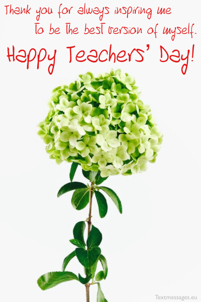 teacher's day image